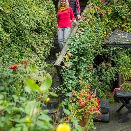 בית הארחה Schmausemuhle Dommershausen