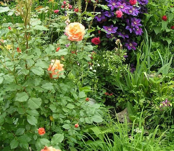 Pensjonat Schmausemuhle