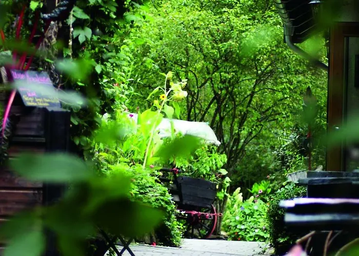 Schmausemuhle Pensjonat